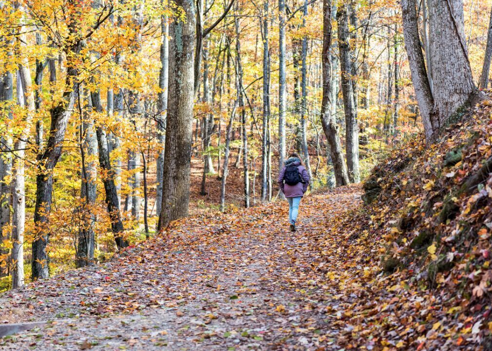 #44. West Virginia